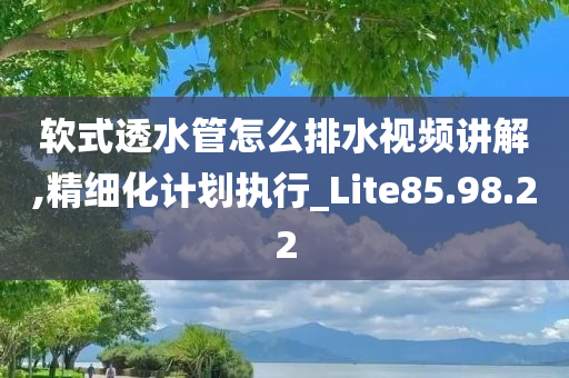 软式透水管怎么排水视频讲解,精细化计划执行_Lite85.98.22