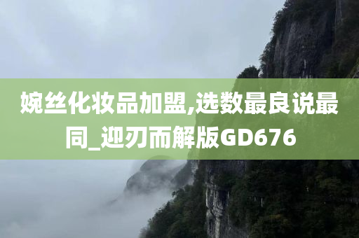 婉丝化妆品加盟,选数最良说最同_迎刃而解版GD676