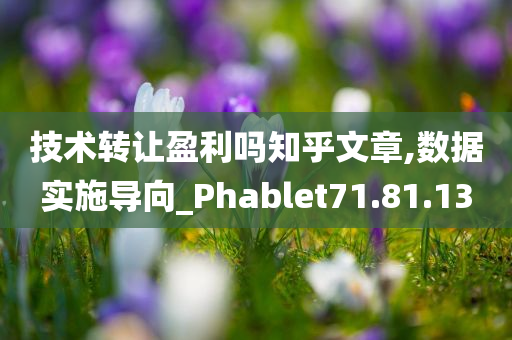 技术转让盈利吗知乎文章,数据实施导向_Phablet71.81.13