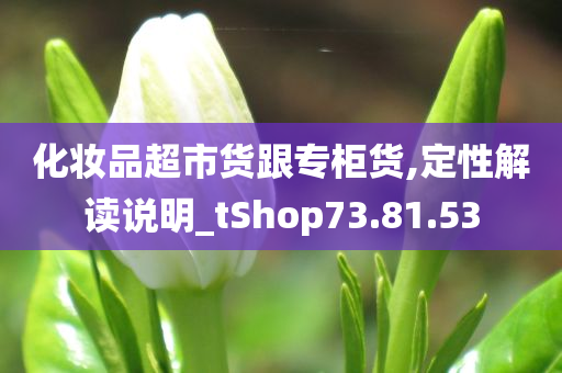 化妆品超市货跟专柜货,定性解读说明_tShop73.81.53