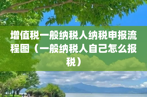 增值税一般纳税人纳税申报流程图（一般纳税人自己怎么报税）