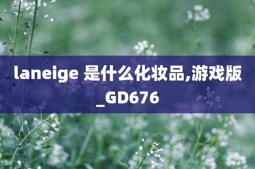 laneige 是什么化妆品,游戏版_GD676