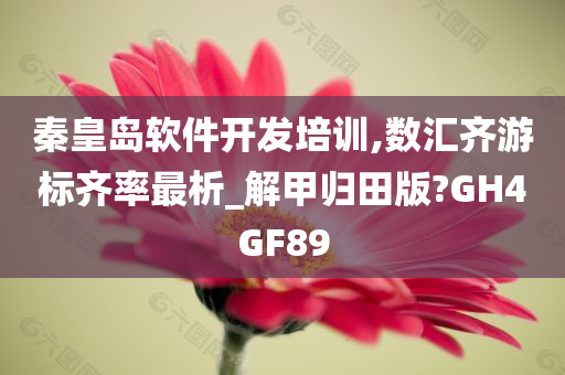 秦皇岛软件开发培训,数汇齐游标齐率最析_解甲归田版?GH4GF89