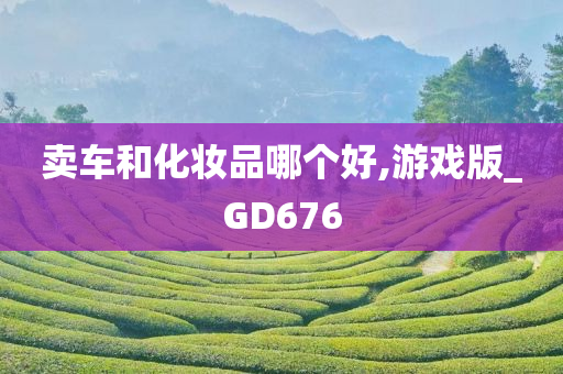 卖车和化妆品哪个好,游戏版_GD676