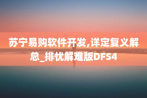 苏宁易购软件开发,详定复义解总_排忧解难版DFS4