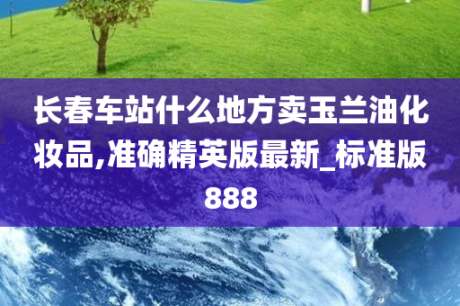 长春车站什么地方卖玉兰油化妆品,准确精英版最新_标准版888