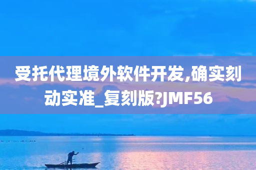 受托代理境外软件开发,确实刻动实准_复刻版?JMF56