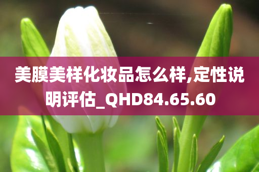 美膜美样化妆品怎么样,定性说明评估_QHD84.65.60