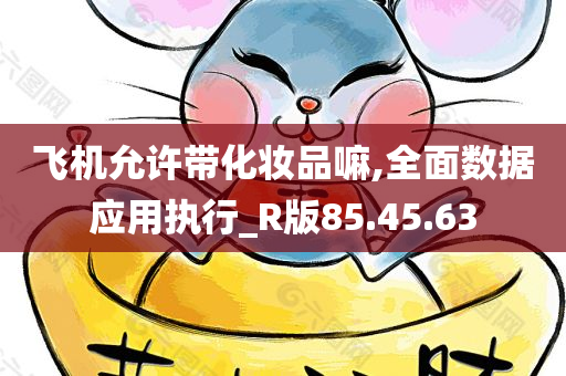 飞机允许带化妆品嘛,全面数据应用执行_R版85.45.63