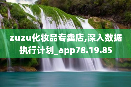 zuzu化妆品专卖店,深入数据执行计划_app78.19.85