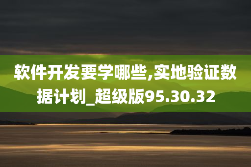 软件开发要学哪些,实地验证数据计划_超级版95.30.32