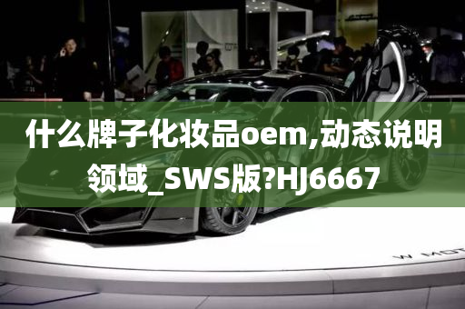 什么牌子化妆品oem,动态说明领域_SWS版?HJ6667