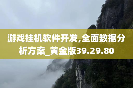 游戏挂机软件开发,全面数据分析方案_黄金版39.29.80