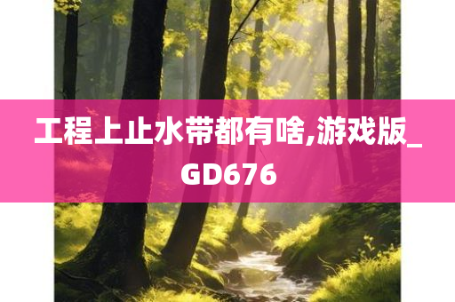 工程上止水带都有啥,游戏版_GD676