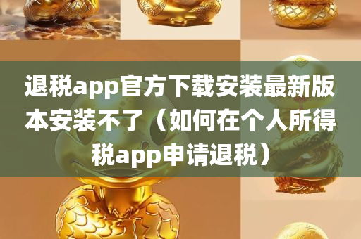 退税app官方下载安装最新版本安装不了（如何在个人所得税app申请退税）