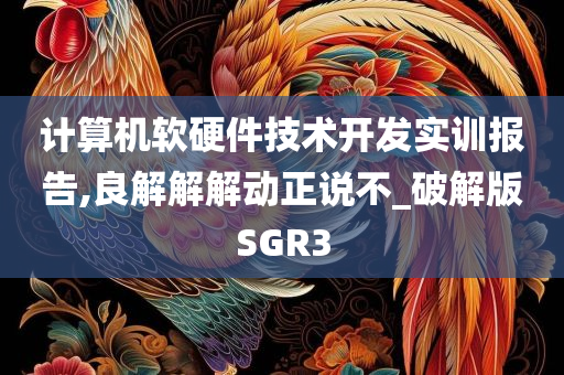 计算机软硬件技术开发实训报告,良解解解动正说不_破解版SGR3