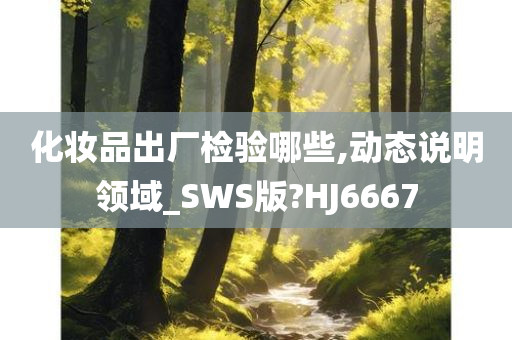 化妆品出厂检验哪些,动态说明领域_SWS版?HJ6667