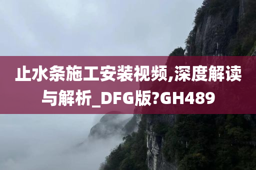 止水条施工安装视频,深度解读与解析_DFG版?GH489