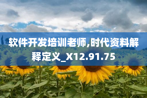 软件开发培训老师,时代资料解释定义_X12.91.75