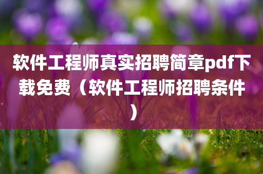 软件工程师真实招聘简章pdf下载免费（软件工程师招聘条件）