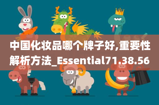 中国化妆品哪个牌子好,重要性解析方法_Essential71.38.56