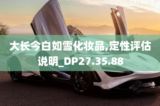 大长今白如雪化妆品,定性评估说明_DP27.35.88